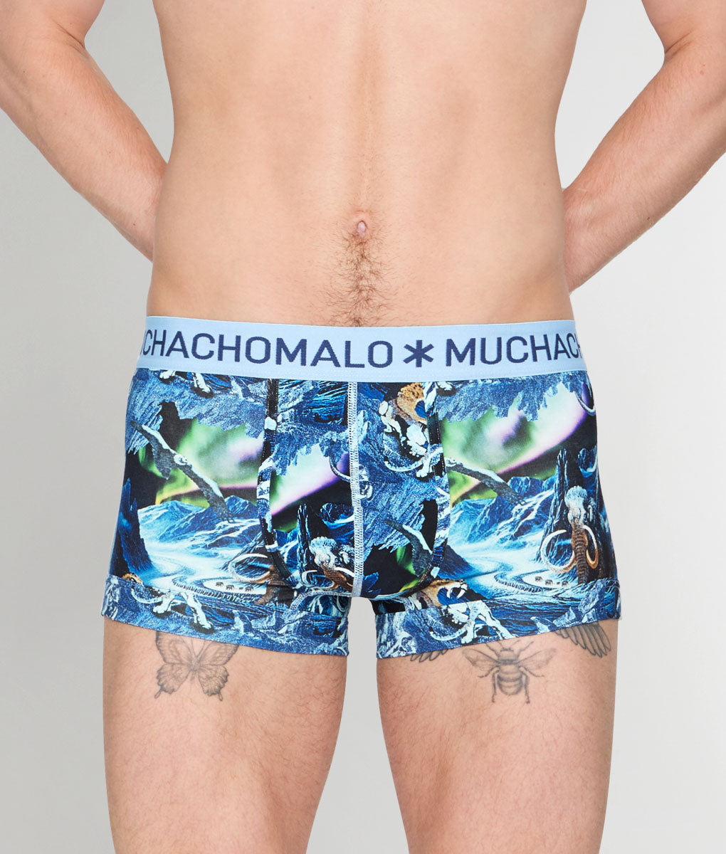 Muchachomalo Pre History Trunk Pre-history