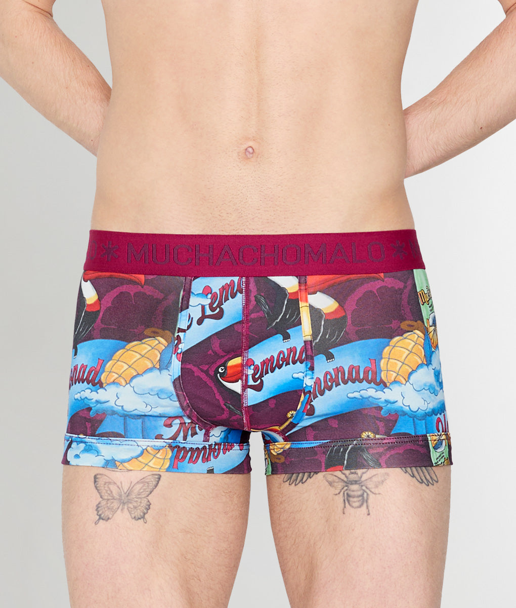 Muchachomalo Summer Fruit Trunk Summer-fruit-print-a