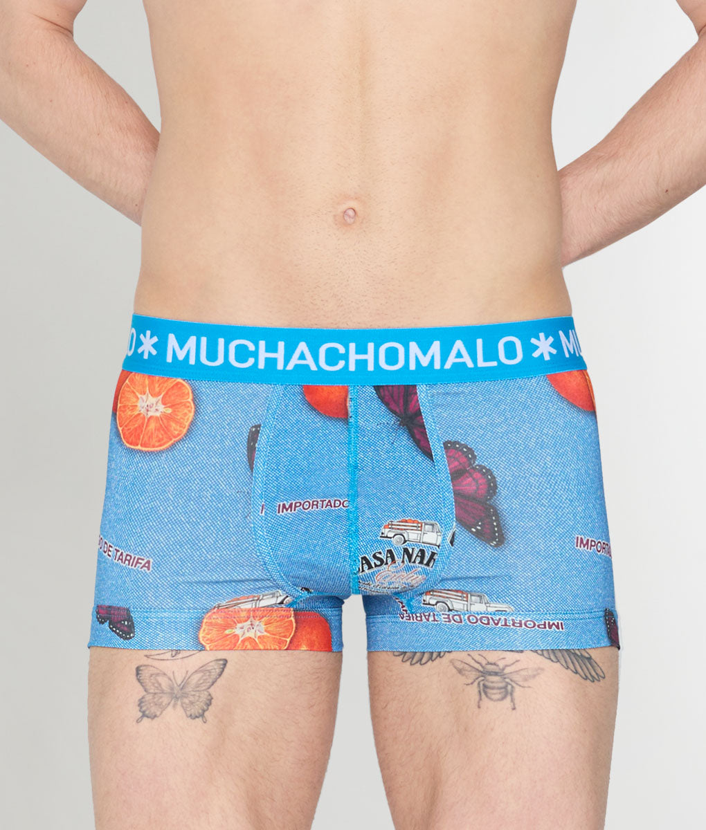 Muchachomalo Summer Fruit Trunk Summer-fruit-print-b