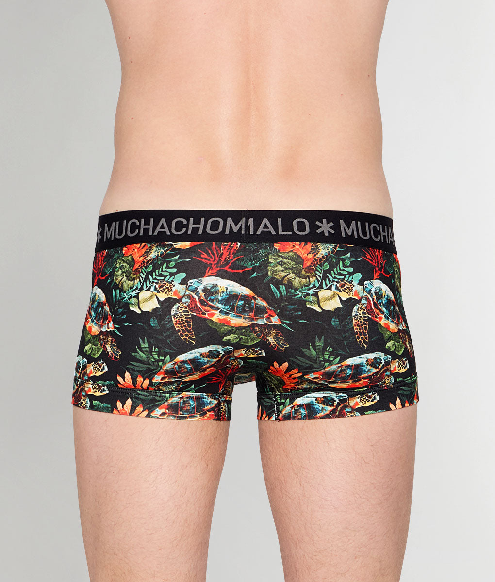 Muchachomalo Turtle Trunk Turtle