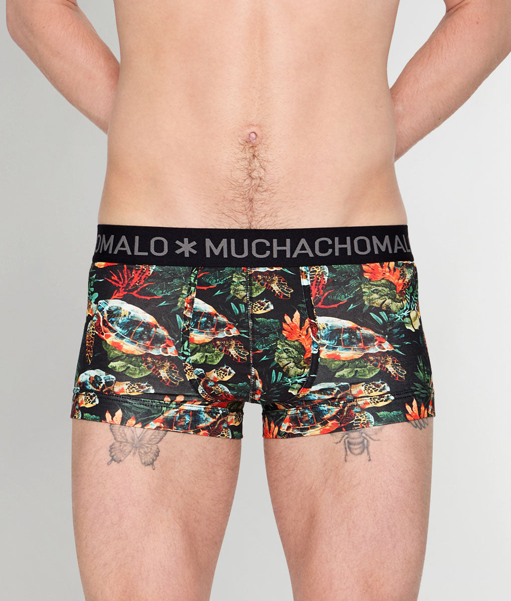 Muchachomalo Turtle Trunk Turtle