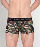 Muchachomalo Turtle Trunk Turtle