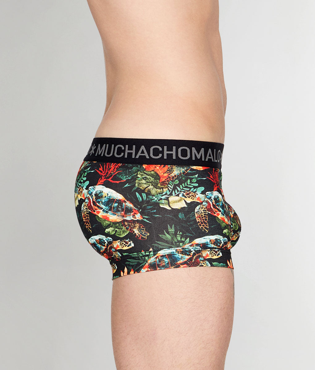 Muchachomalo Turtle Trunk Turtle
