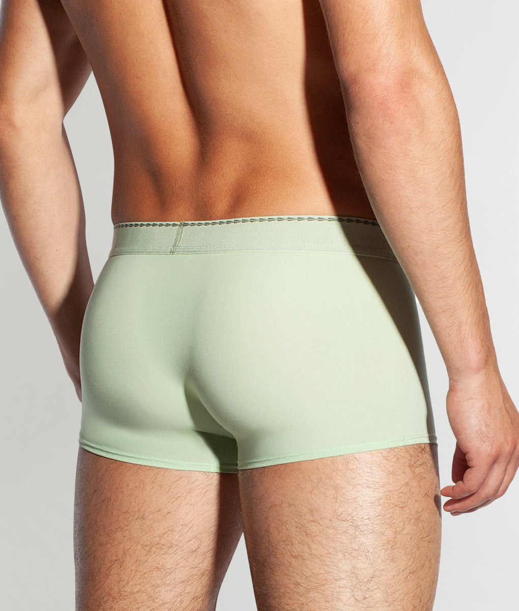 Saligia Greek Acanthus Trunk Green