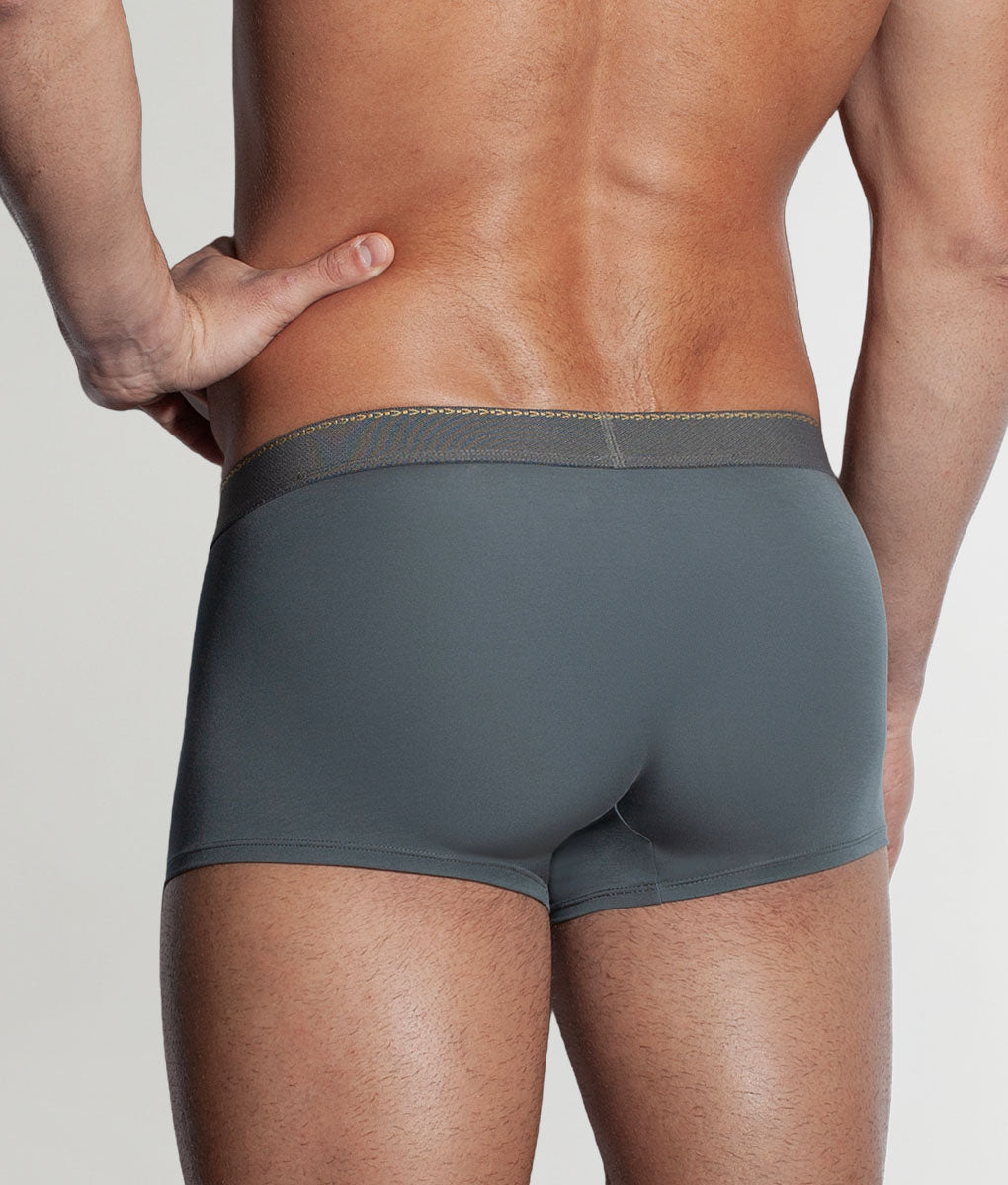 Saligia Greek Ivy Trunk Grey