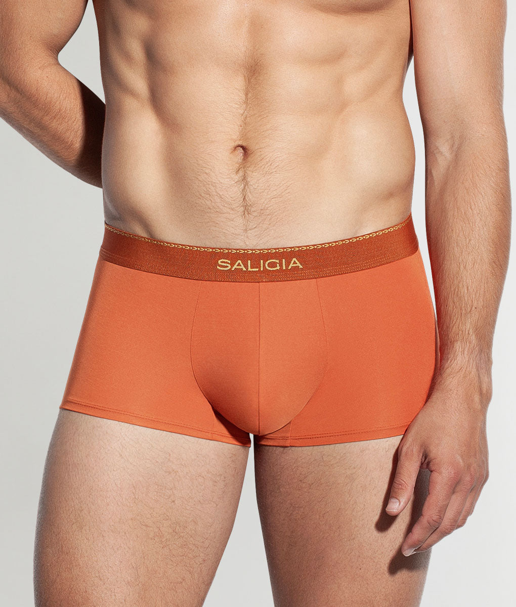 Saligia Greek Ivy Trunk Dark-orange