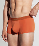 Saligia Greek Ivy Trunk Dark-orange