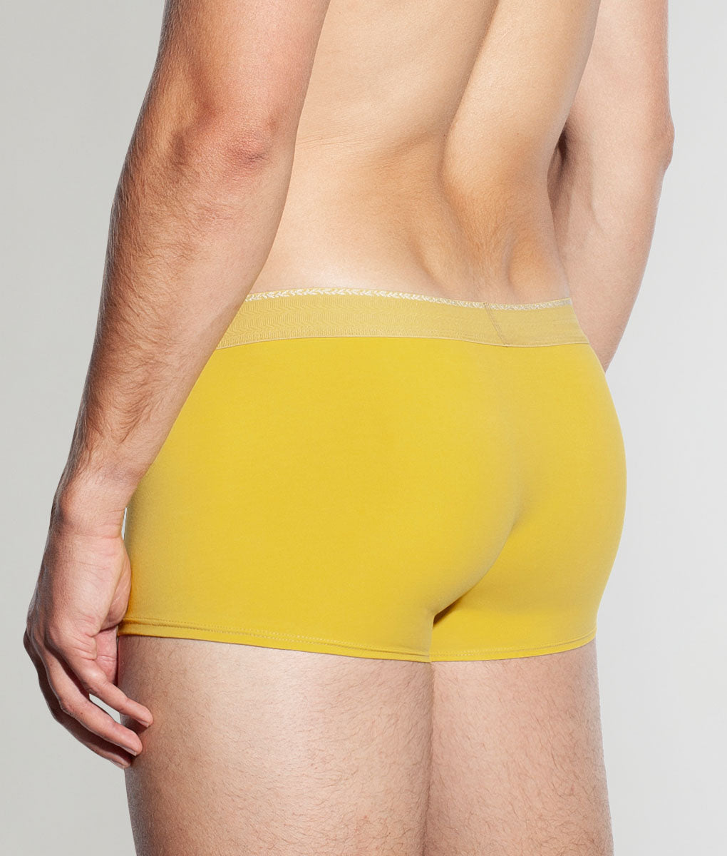 Saligia Greek Olive Trunk Yellow